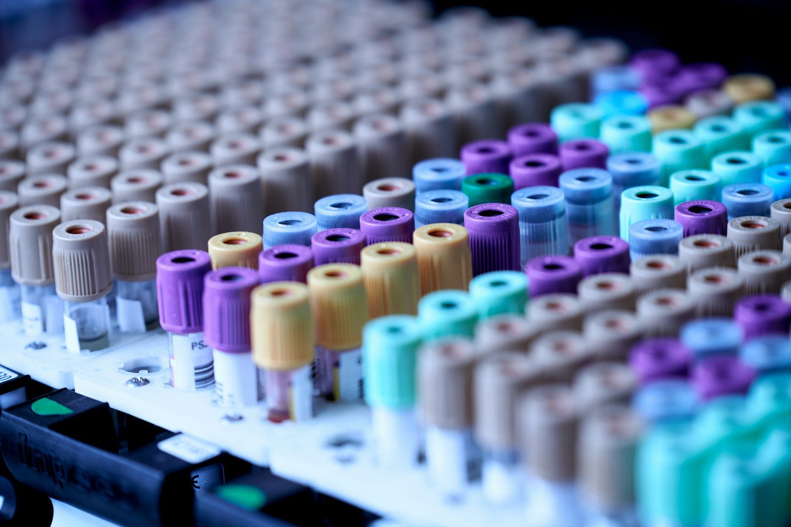 Rows of medical blood collection tubes with colorful caps in a laboratory rack