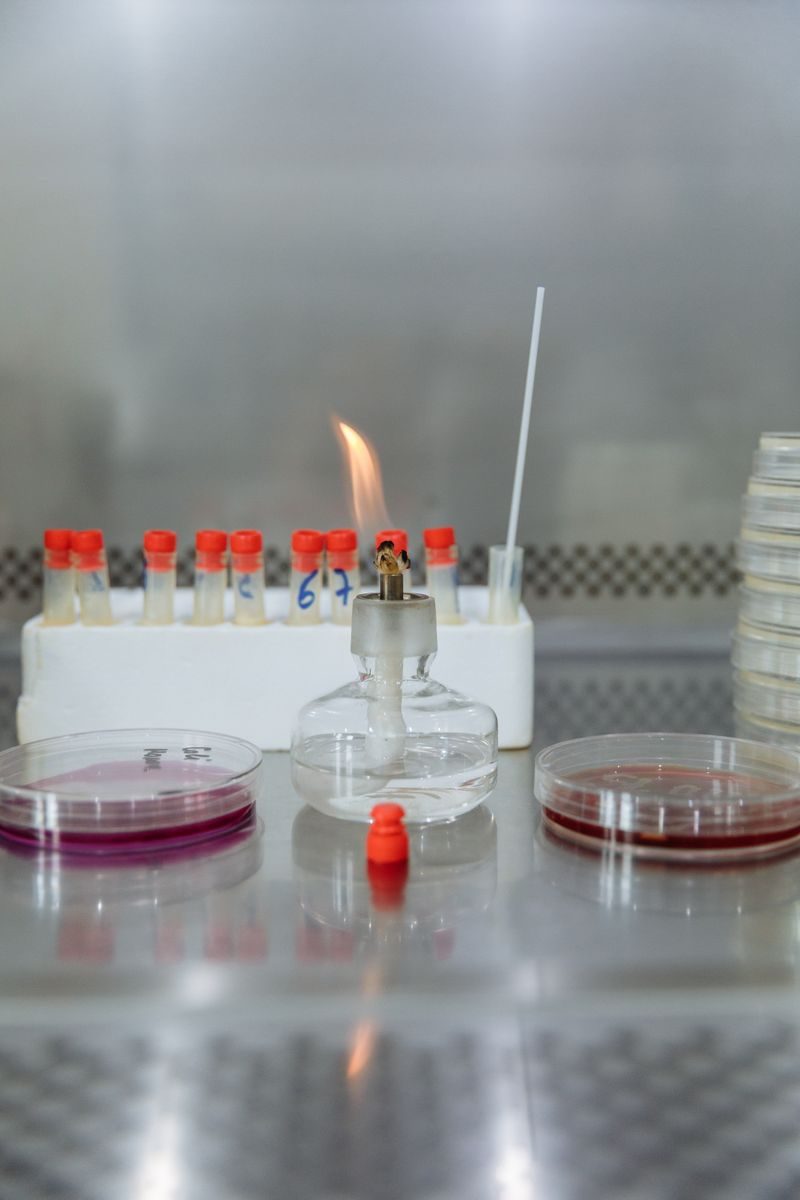 Close-up of a laboratory burner with petri dishes, ideal for science and research visuals.
