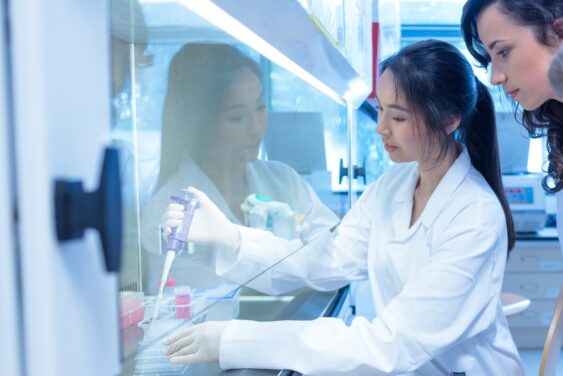 Students in a University of Chicago laboratory