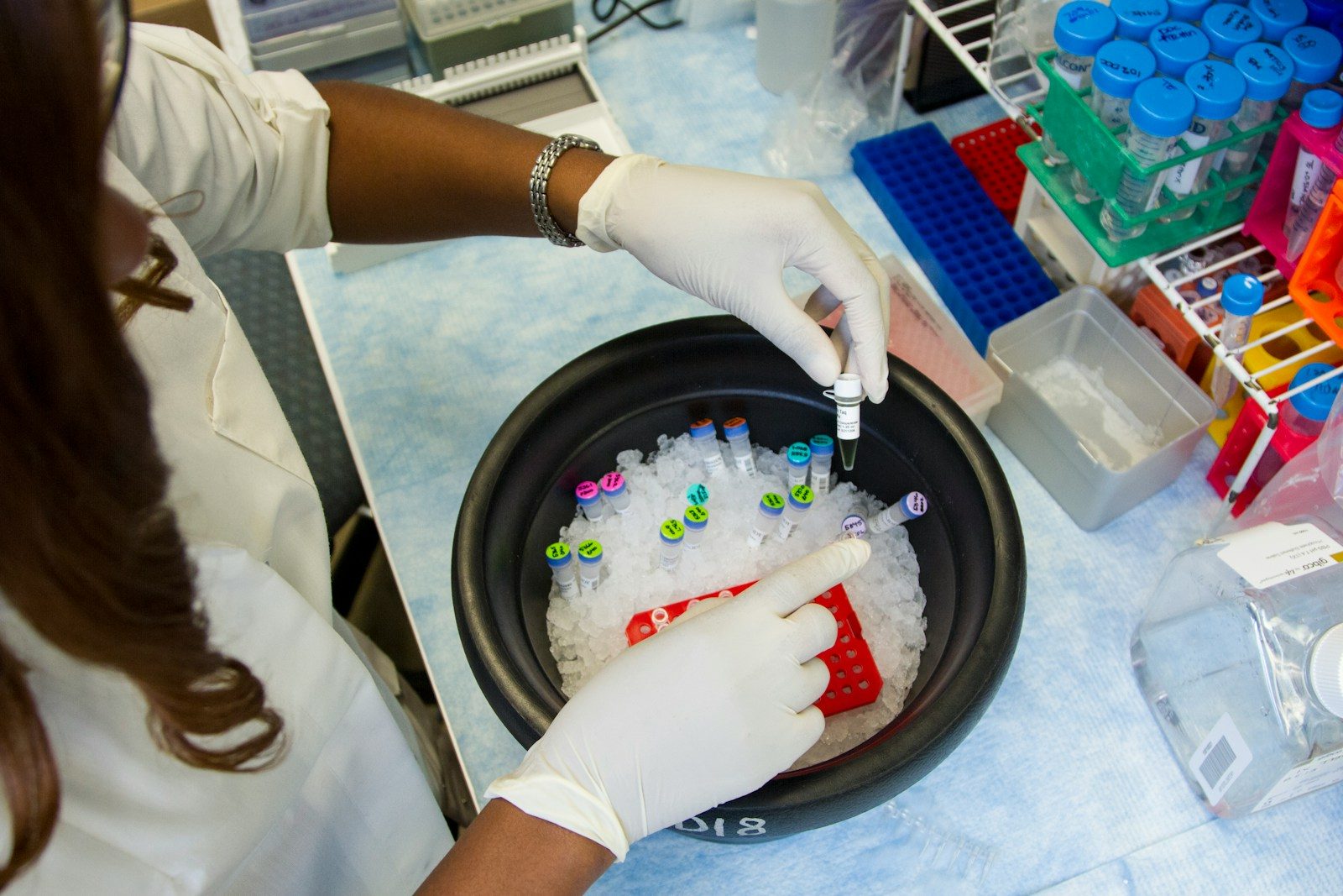 Sample tubes kept on ice in a laboratory