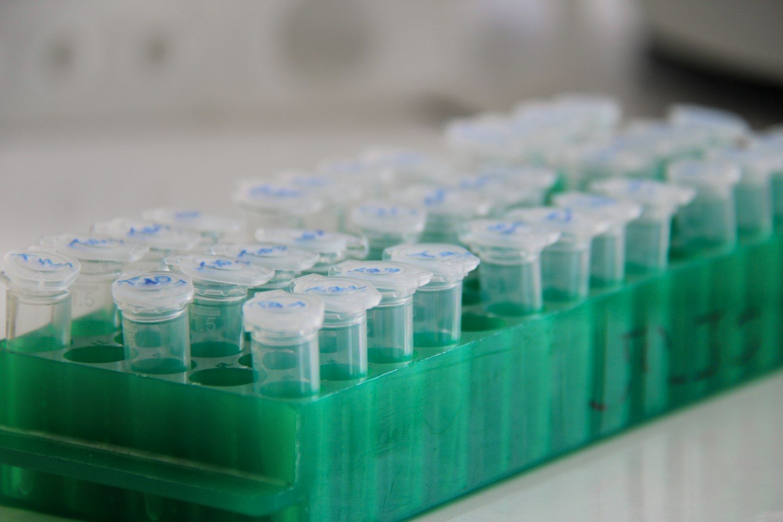Rows of lab tubes sit in a tray