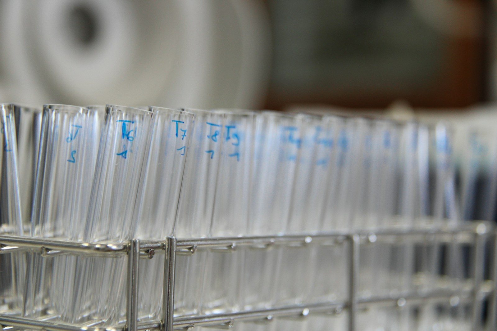 Test tubes are arranged in a metal rack