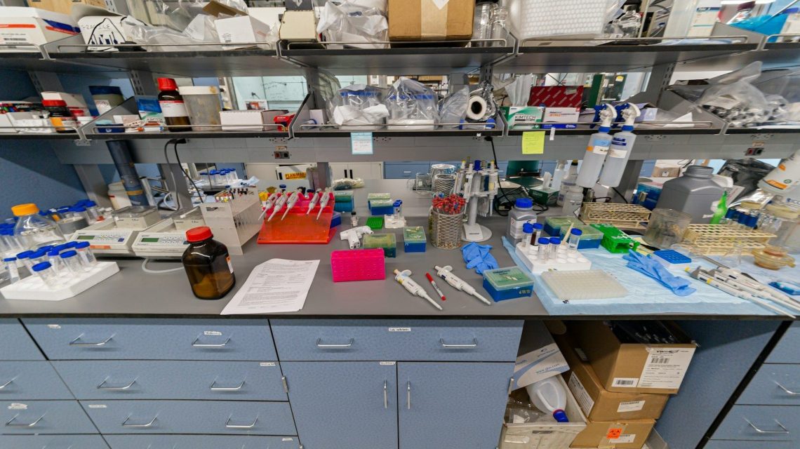A busy laboratory bench is filled with equipment