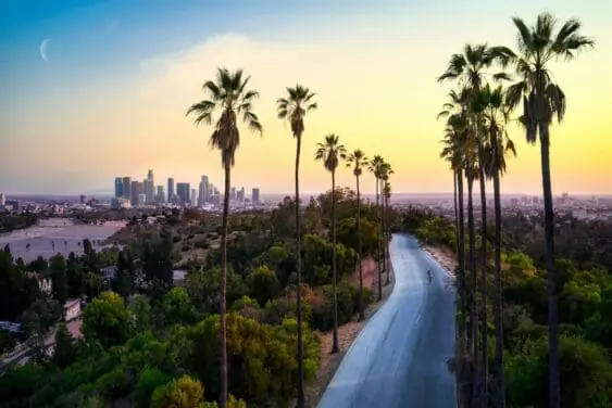 los angeles skyline at sunrise with palm trees in foreground